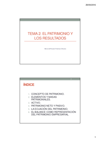 Tema-2-primera-parte-El-patrimonio-y-los-resultados.pdf