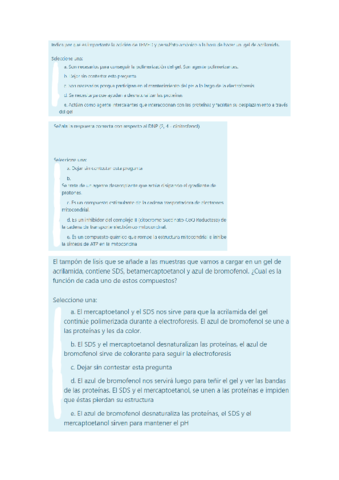 Examen-Bq.pdf