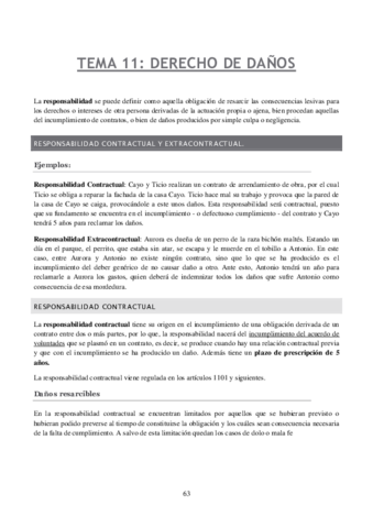 Tema-11-DERECHO-DE-DANOS.pdf
