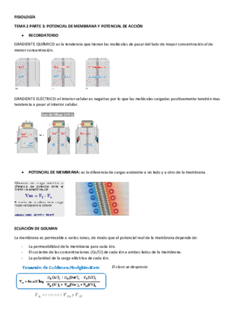 TEMA-3-PDF.pdf