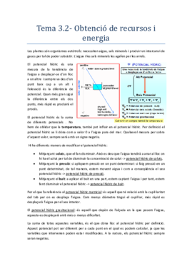 FisioV_temes 3.2.pdf