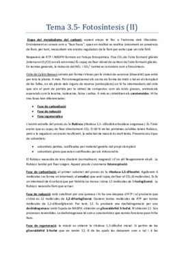 FisioV_temes 3.5.pdf