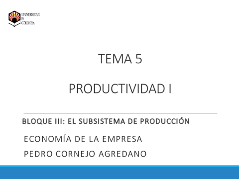 Solucion-Practica-Tema-5-Productividad.pdf
