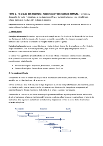 Tema-1.pdf