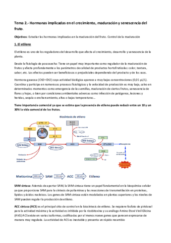 Tema-2.pdf