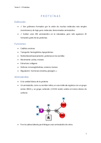 Tema-5-PROTEINAS-AMPLI.pdf