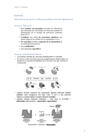Tema-7-ENZIMAS.pdf