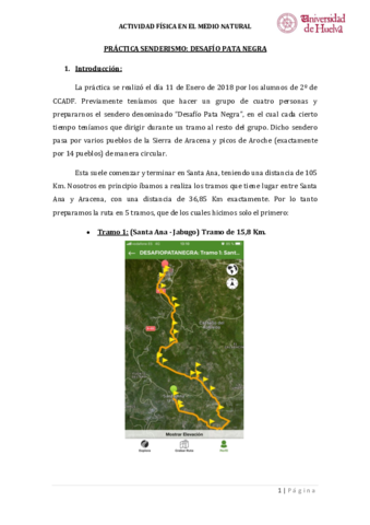 Desafio-Patanegra.pdf