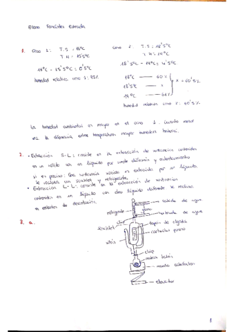 Examen-muestreo-Elena-Fernandez.pdf