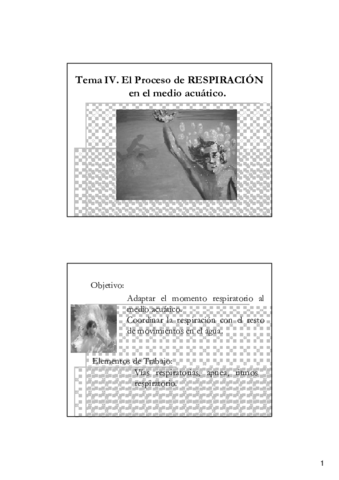 T4.pdf