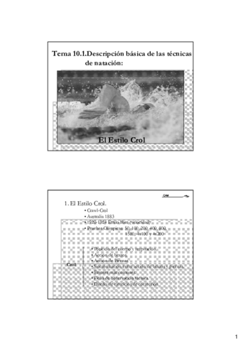 T10.pdf