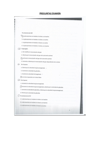 Preguntas-examen.pdf
