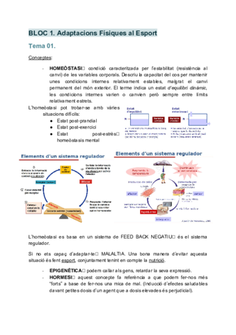 FISIO-Bloc-1.pdf