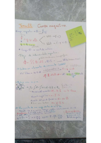 formulario-T-14-y-T-15.pdf