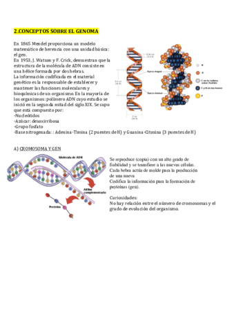 Tema 2.Estadística para el Análisis de Secuencias.pdf