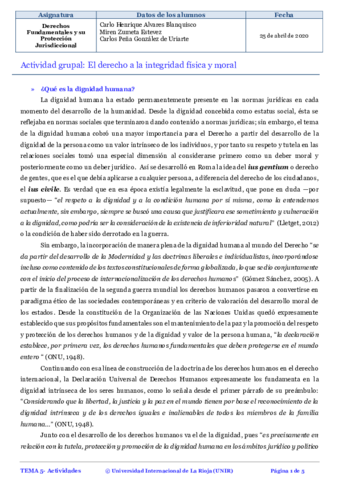 ACTIVIDAD-GRUPAL-DERECHOS-FUNDAMENTALES.pdf