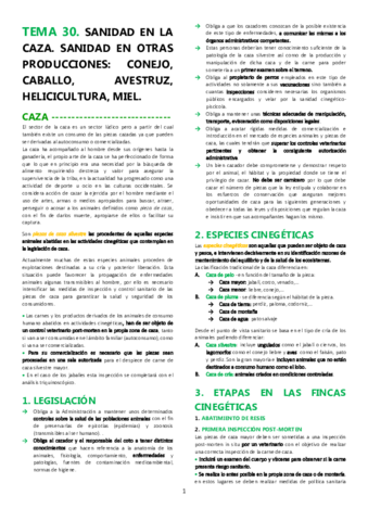 TEMA-30.pdf