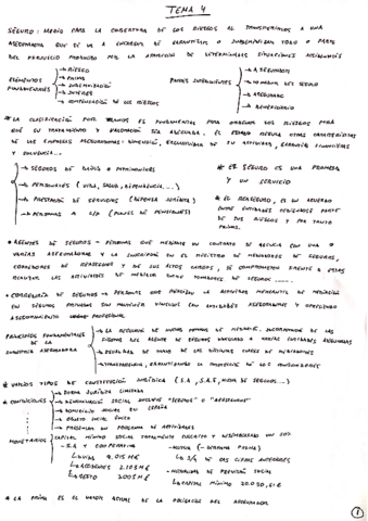 Regulacion-Tema-4.pdf