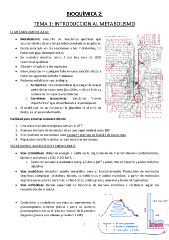 BIOQUIMICA-2.pdf