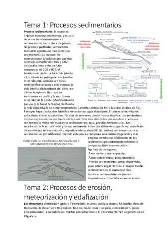Temario-Sedimentologia.pdf