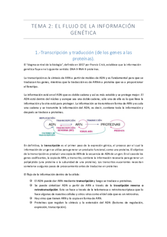 TEMA-2.pdf