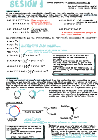 Problemas.pdf