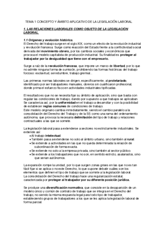 TEMA-1-CONCEPTO-Y-AMBITO-APLICATIVO-DE-LA-LEGISLACION-LABORAL.pdf