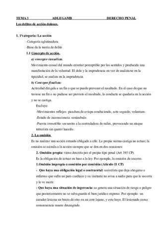 TEMA-3-DERECHO-PENAL.pdf