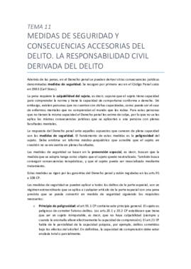 Tema 11. Medidas de seguridad consecuencias accesorias y responsabilidad civil derivada del delito.pdf