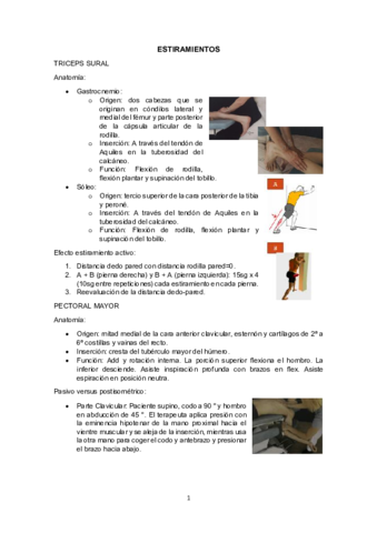 Practica-5.pdf
