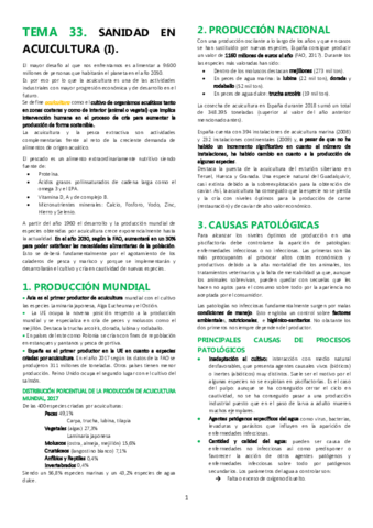 TEMA-33.pdf