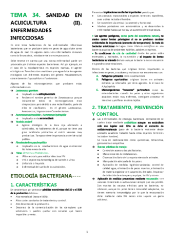 TEMA-34.pdf