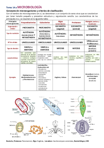 19-MICROBIOLOGIA-I.pdf