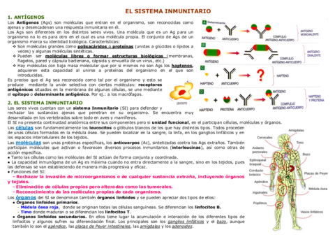 21-INMUNOLOGIAI.pdf