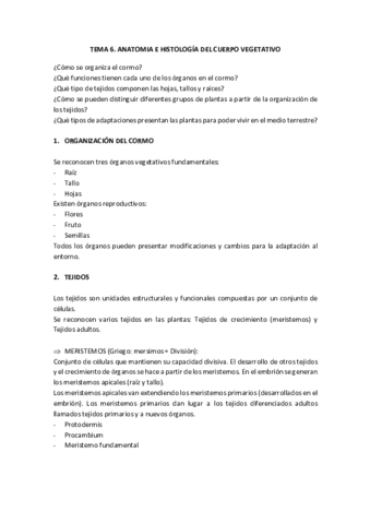 TEMA-6.pdf