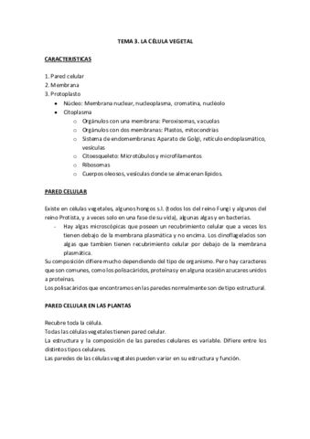 TEMA-3.pdf