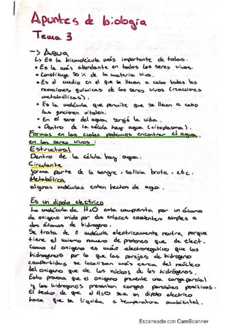 Biologia-tema-3-agua-y-sales-minerales-.pdf