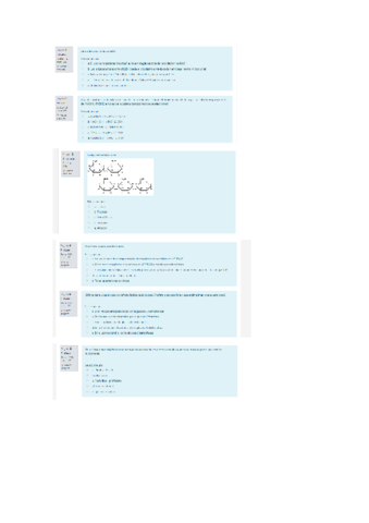 examen-parcial-II.pdf