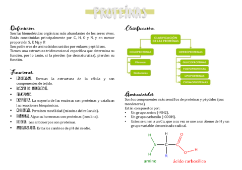 Proteinas.pdf