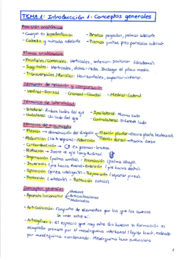 Apuntes Anatomia I.pdf