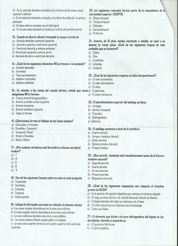 Examen anatomia0002.jpg