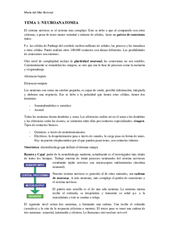 Neuro-PART-1.pdf