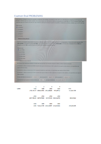 EXAMEN-FINAL-PROBLEMAS.pdf