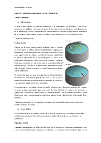 B5Memoria-alzehimer-y-otras-demencias.pdf