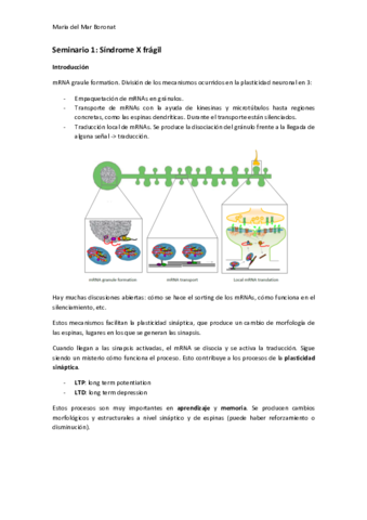 Seminari-1Sindrome-X-fragil.pdf