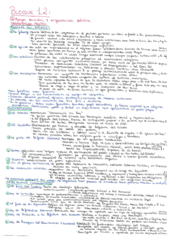 BLOQUE-12-FRANCO.pdf