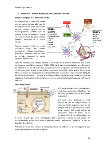 Apunts-immunologia-T3.pdf
