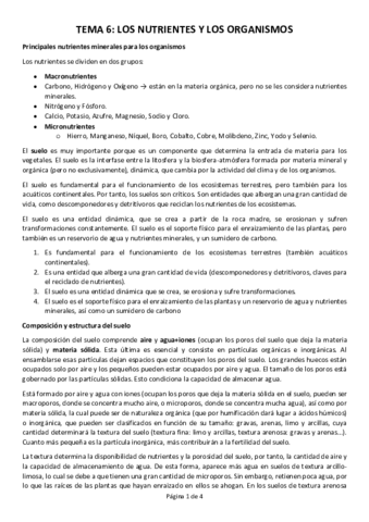 TEMA-6.pdf