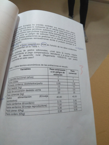 economia-2.jpg