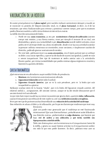 VALORACION-IBAI-T11-VALORACION-RODILLA-.pdf